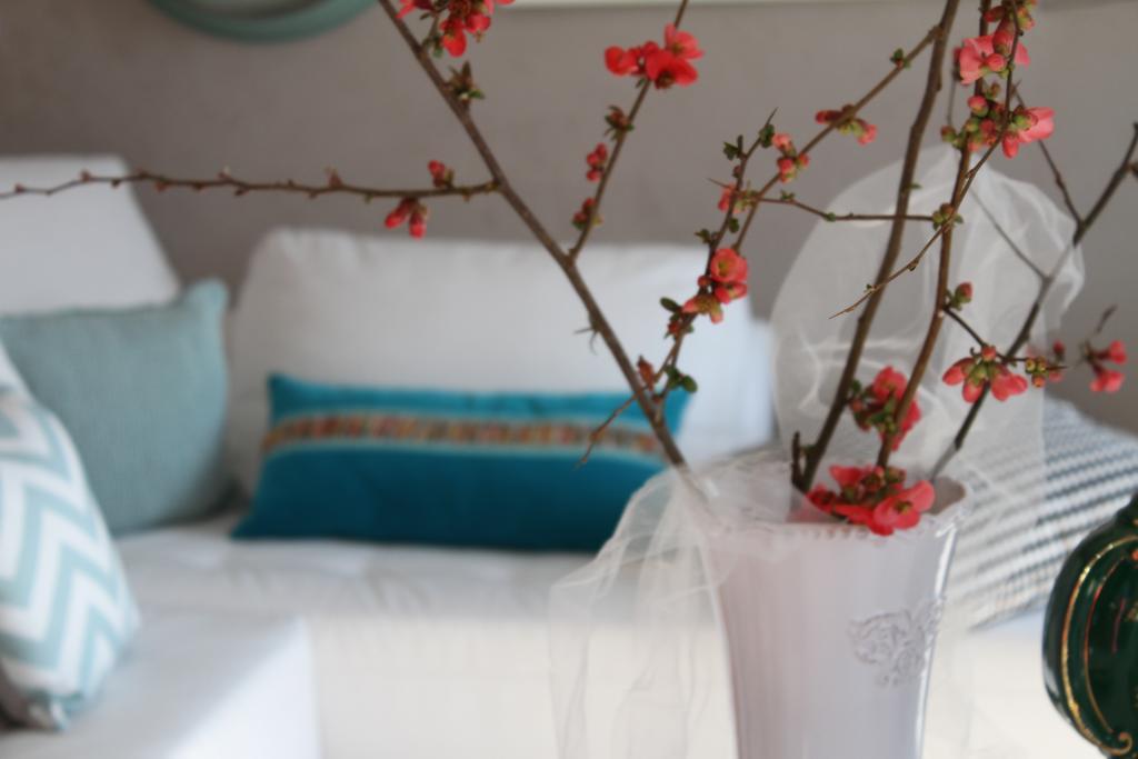 Al Castello Da Annamaria Guest House Беверино Екстериор снимка